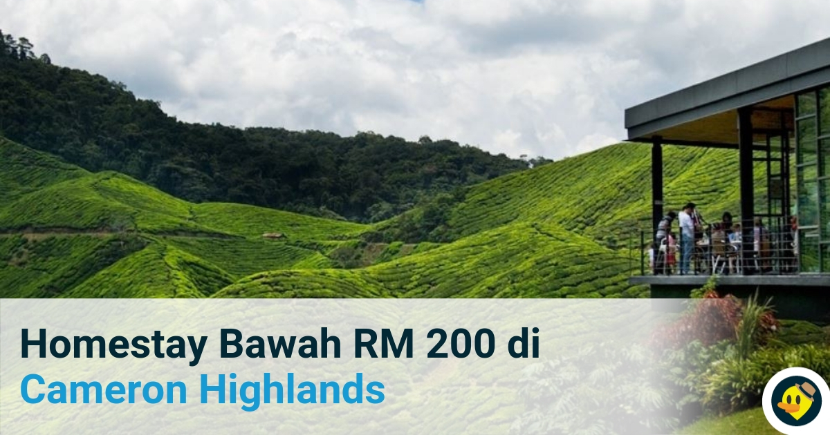 Homestay Bawah RM 200 di Cameron Highland Featured Image